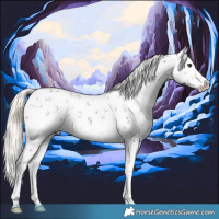 Horse Color:White Spotted Liver Chestnut Mushroom Sabino Splash