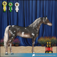 Horse Color:White Spotted Liver Chestnut Mushroom 