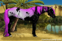 Horse Color:Void Watercolor White Spotted Liver Red Onyx Splash 
