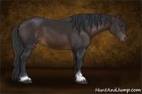 Horse Color:Brown Mushroom Sabino 
