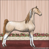 Horse Color:Red Roan Pearl Tobiano Frame 