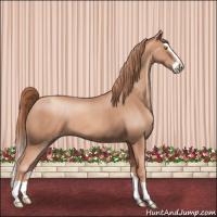 Horse Color:Gold Champagne Splash 