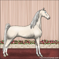 Horse Color:Cremello Splash  and Cremello Splash Frame 