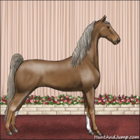 Horse Color:Chocolate Palomino 