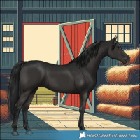 Horse Color:Gray Black 