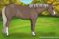 Horse Color:Silver Black 