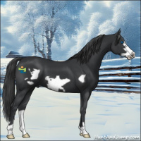 Horse Color:Black Frame 