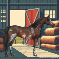 Horse Color:White Spotted Brown Roan 