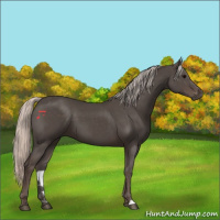 Horse Color:Silver Black 