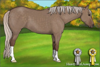 Horse Color:Silver Grullo 