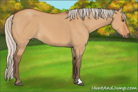 Horse Color:Silver Bay Dun