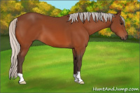 Horse Color:Silver Bay