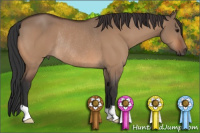 Horse Color:Bay Dun Rabicano 