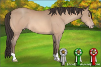 Horse Color:Amber Champagne 