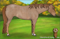 Horse Color:Red Roan 