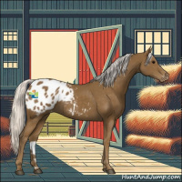 Horse Color:Silver Smoky Black Appaloosa 