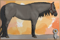 Horse Color:Grullo 