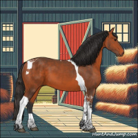 Horse Color:Bay Tobiano 