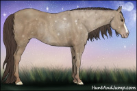 Horse Color:Classic Champagne 