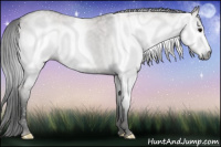 Horse Color:Gray Grullo Roan 