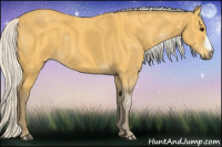 Horse Color:Silver Buckskin 