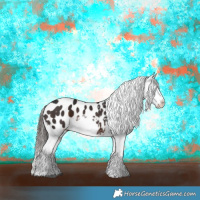 Horse Color:Brown Sabino Appaloosa