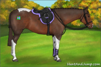 Horse Color:Liver Chestnut Tobiano 