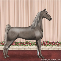 Horse Color:Silver Black 