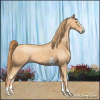 Horse Color:Gold Champagne Splash Tobiano 
