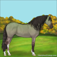 Horse Color:Liver Red Dun 