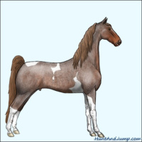 Horse Color:Liver Red Roan Tobiano 