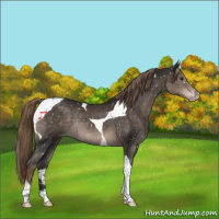 Horse Color:Liver Chestnut Tobiano Snowflake Varnish Rabicano 