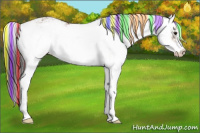 Horse Color:Painted Buckskin Dun Sabino 