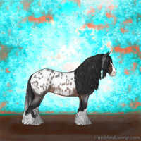 Horse Color:Brown Roan Splash Near Leopard Rabicano 