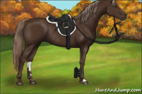 Horse Color:Liver Chestnut Rabicano