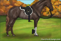 Horse Color:Liver Chestnut Rabicano 