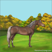 Horse Color:Silver Black 