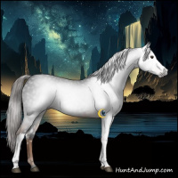 Horse Color:Gray White Spotted Liver Chestnut 