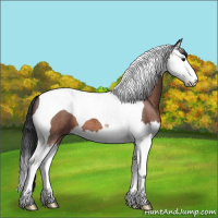 Horse Color:Brown Roan Splash Tobiano
