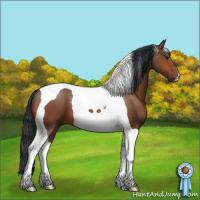 Horse Color:Bay Tobiano 