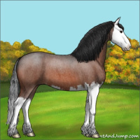 Horse Color:Bay Roan Splash 
