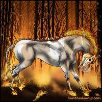 Horse Color:Bay Dun Tobiano 