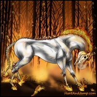 Horse Color:Sable Champagne Dun Tobiano Frame Appaloosa 