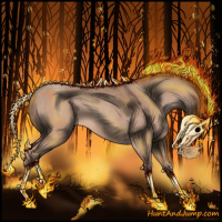 Horse Color:Sable Champagne Appaloosa 
