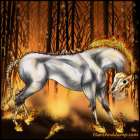 Horse Color:Platinum Bay Roan Dun Varnish Rabicano 