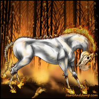 Horse Color:Brown Dun Sabino Near Fewspot 