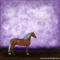 Horse Color:Silver Brown 