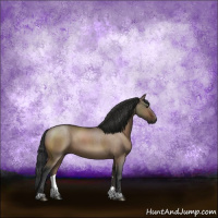 Horse Color:Brown Dun 