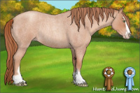Horse Color:Gold Champagne Roan Sabino Rabicano 