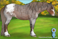 Horse Color:Liver Red Roan Sabino Snowcap 